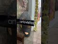 Galería artevistas BCN – Francisco de Pájaro, street art video Barcelona, arte urbano