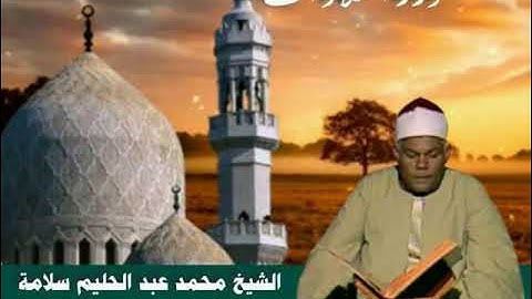 الشيخ محمد عبدالحليم سلامة ما تيسر من سورة القصص