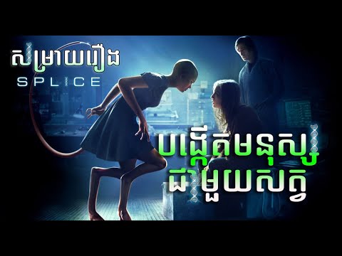 អ្នកវិទ្យាសាស្រ្ត បង្កើតមនុស្សទៅជាសត្វ - សម្រាយរឿង Splice (Secret Cha