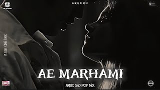 AE MARHAMI  | Arabic Pop Mix | Official Visualizer | VIBE CHAPTERS