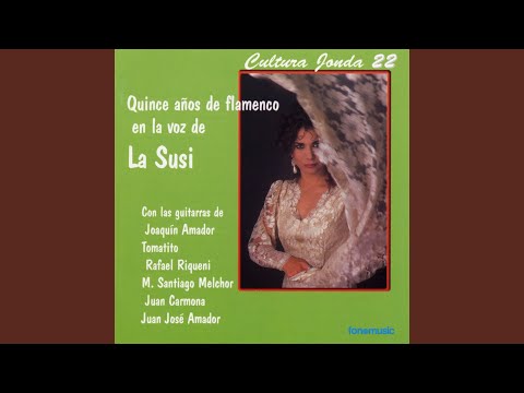 Ver video de Me lo llevare tango rumba