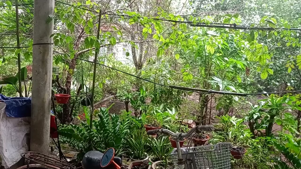 From Conflict to Peace Transforming Our Homeland