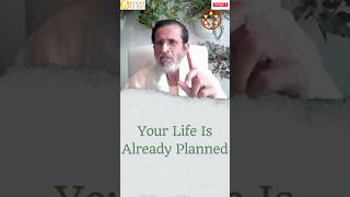 Who Is Planning Your Life? #selfactualization #divine #predestination #divineguidance