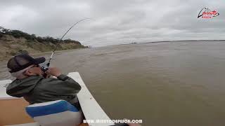 Captura de Surubi en Santa Elena - Entre Rios - Argentina - Vivi tu Minuto De Pesca