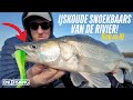 GROOT EN KOUD! - Op GROTE Snoekbaars vissen vanaf de rivier met Nick en HJ!