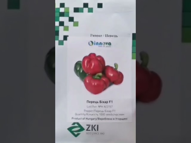 Лідер ринку перець Біхар F1