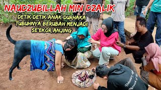 🔴 VIRAL !! AZAB ANAK DURHAKA,BERUBAH MENJADI SEEKOR ANJING