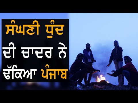 ਸੰਘਣੀ ਧੁੰਦ ਦੀ ਚਾਦਰ ਨੇ ਢੱਕਿਆ ਪੰਜਾਬ | TV Punjab