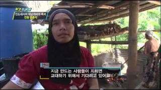 [HIT] 인도네시아 미낭까바우 족 을 만나다 VJ 특공대 20140516