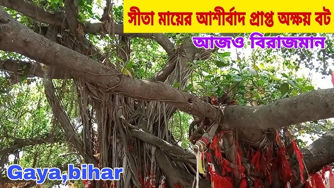 Sasisa jinsiy aloqa onlayn tomosha qilish