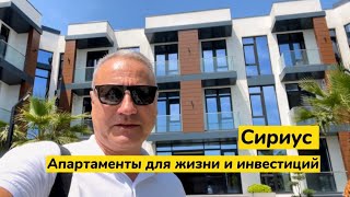 Жильё в Сириус. Сколько стоит купить в Адлере жильё? Апартаменты для жизни и в аренду отдыхающим