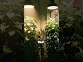 Apartment Tower Garden Light: Your Window Isn't Enough