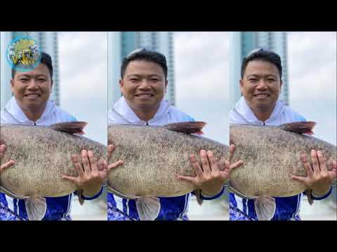 CÂU ĐÀI CÁ MÈ KHỦNG- HỒ THIÊN NGA
