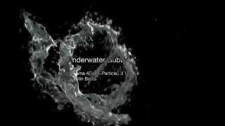 Celebrity Underwater Bubbles Trailer Intro V2 Net Worth