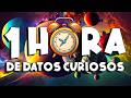 ¡ 1 HORA sin pausas de DATOS CURIOSOS y COSAS QUE NO SABÍAS ! ⏰😲1193 #curiomaníatv