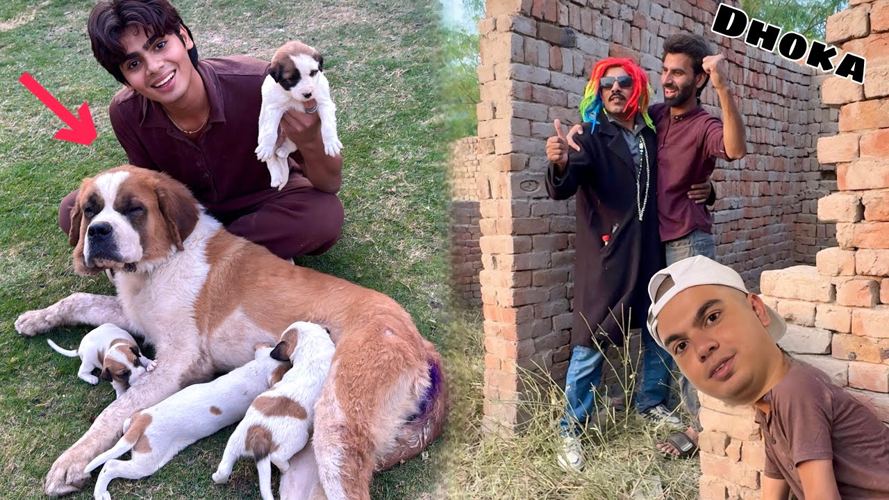 Qasai Ko Dhoka Da Ka Heer Ly Aiy 😱 Heer is Back 😍