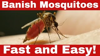 How to Get Rid of Mosquitoes - Proven Home Remedies That Work!
