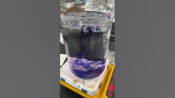 Convection Current Lab Demo #science #sciencelab