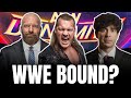 4 AEW Legends That WWE Should Sign, Including Britt Baker