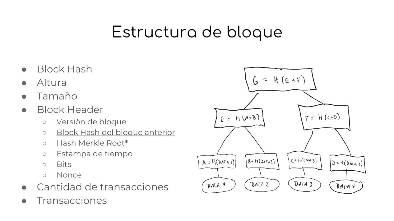 Chaucha Docs #3 - Blockchain y creación de bloques