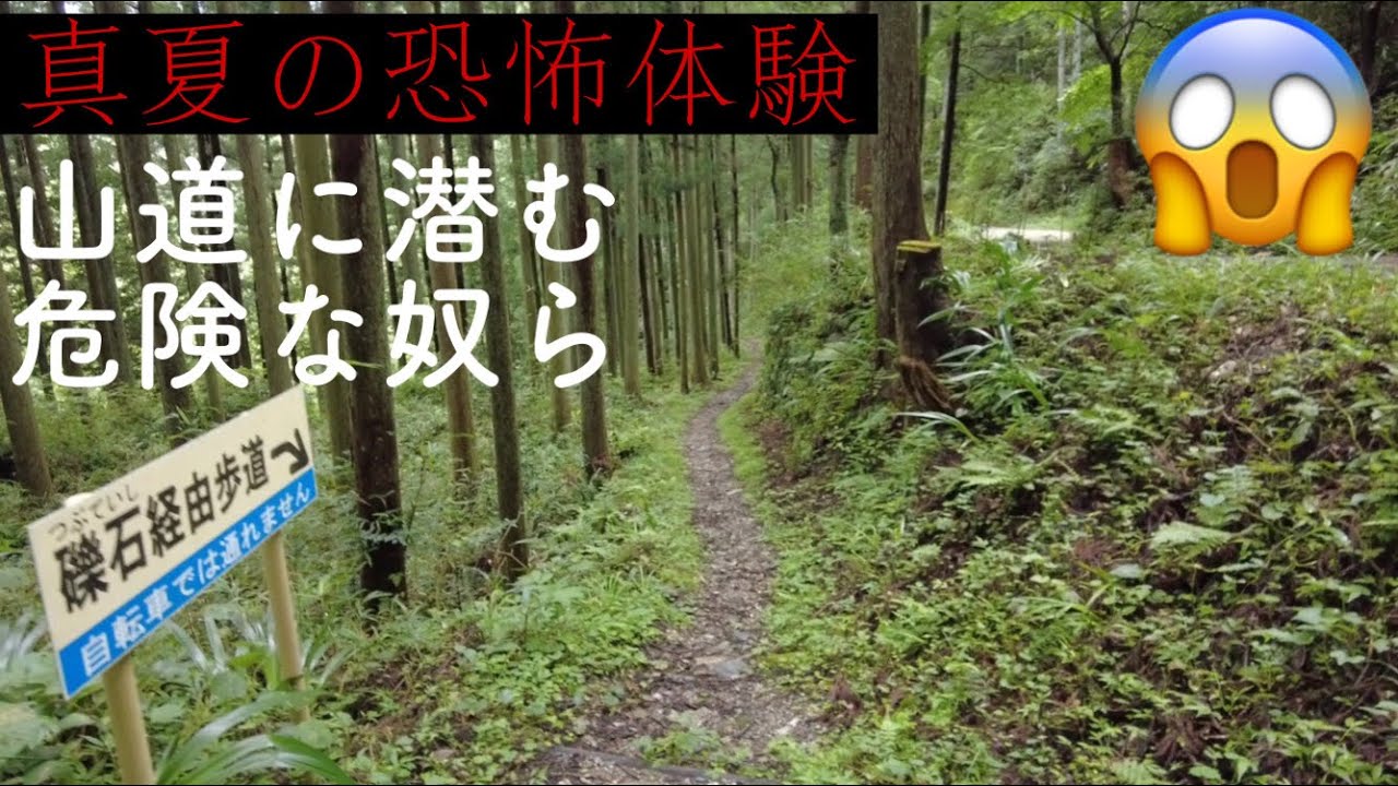 【閲覧注意】食事中は、見ないで下さい！○○に襲われ大パニック😱歴史的由緒ある三重県松阪市の『珍布峠』