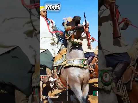 علفة ولاد سيدي خالد دير الحسيان ولاية البيض 