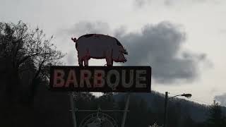 The Story of a Pig