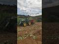 Trator Jhon Deere 5078e fazendo a silagem de milho #pecuarista #trator #agro