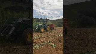 Trator Jhon Deere 5078e fazendo a silagem de milho #pecuarista #trator #agro
