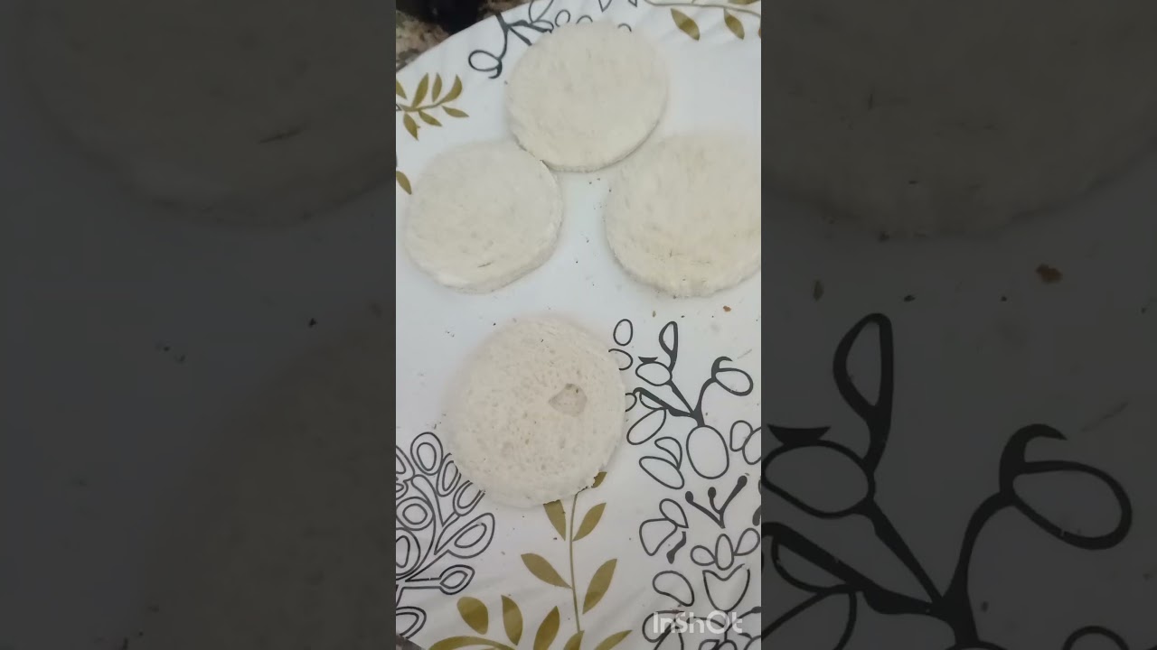 BREAD SWEET 🍞😋 