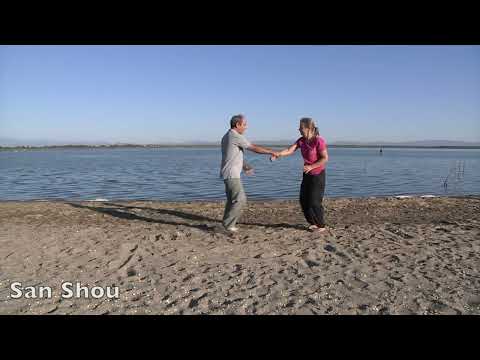 TAI CHI STYLE YANG SAU CHUNG cours en ligne