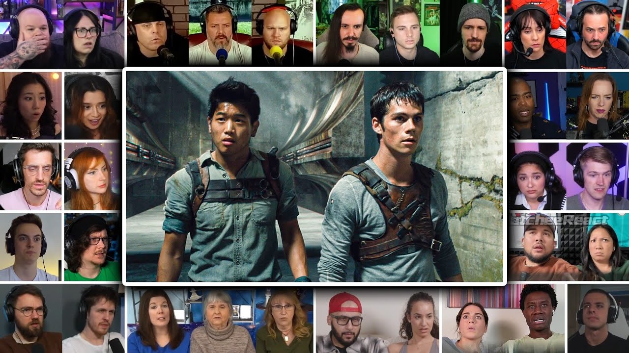 Thomas And Minho Survive The Maze | The Maze Runner (2014) Reaction Mashup