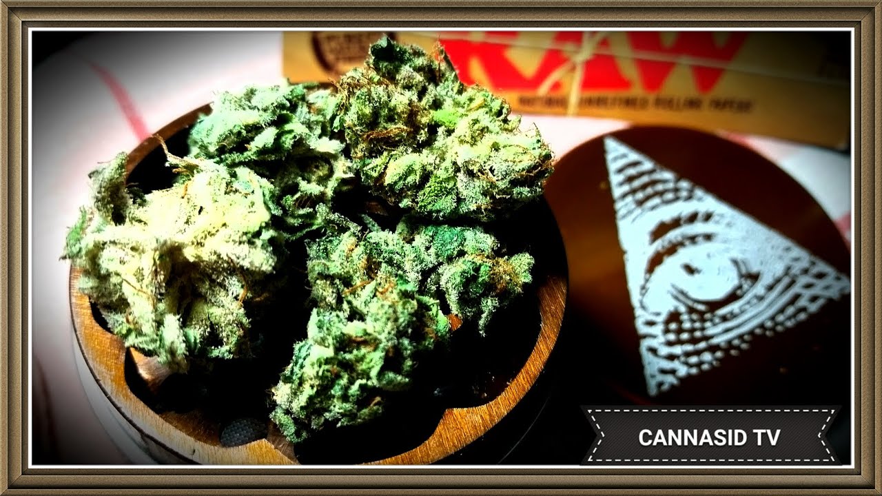 Strain Reviews #1: Green Crack, Blue Dream, Death Bubba, Chemo Kush, OG Kush etc.