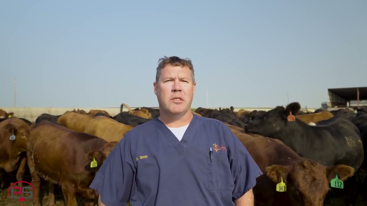 Q&A with Dr.  Dorcey