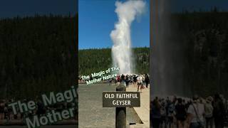 Old Faithful Geyser in Yellowstone National Park
