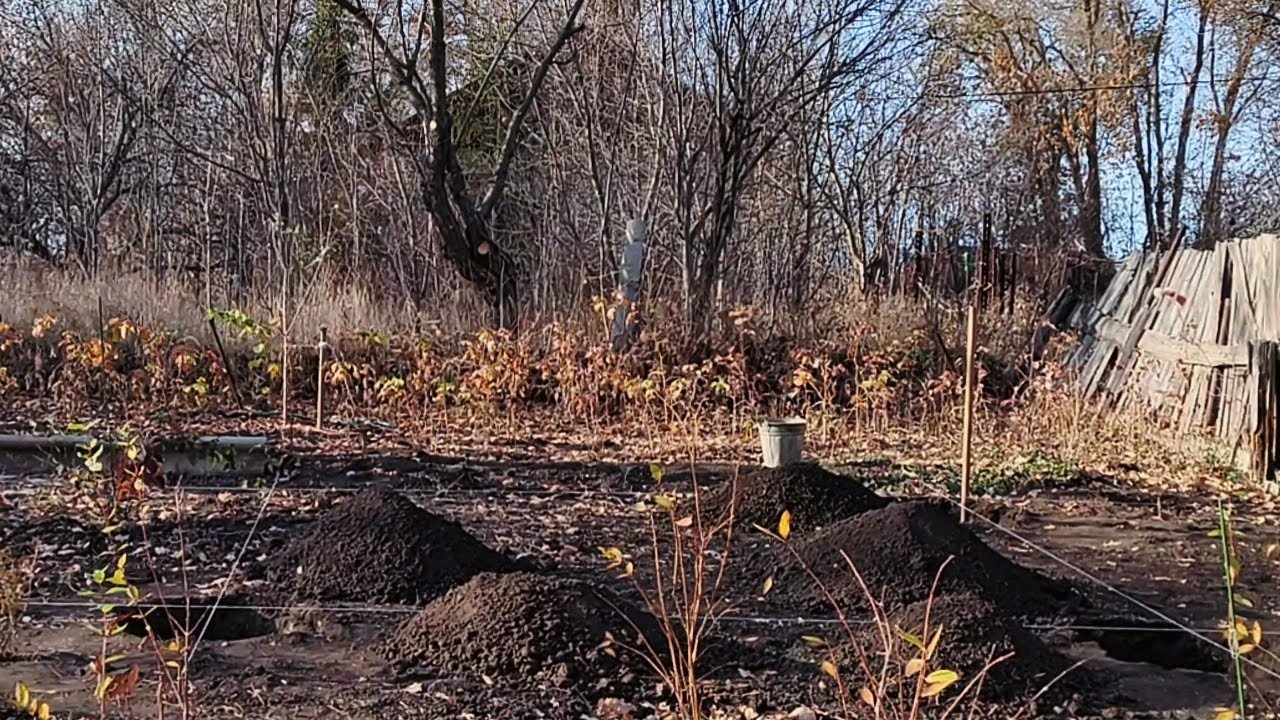 Подготовка к весенней посадке. Готовим посадочные ямы для плодовых деревьев.