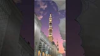 Beautiful Moments Madina Sharif Naat#madina #shabebarat #beautiful #love#shorts
