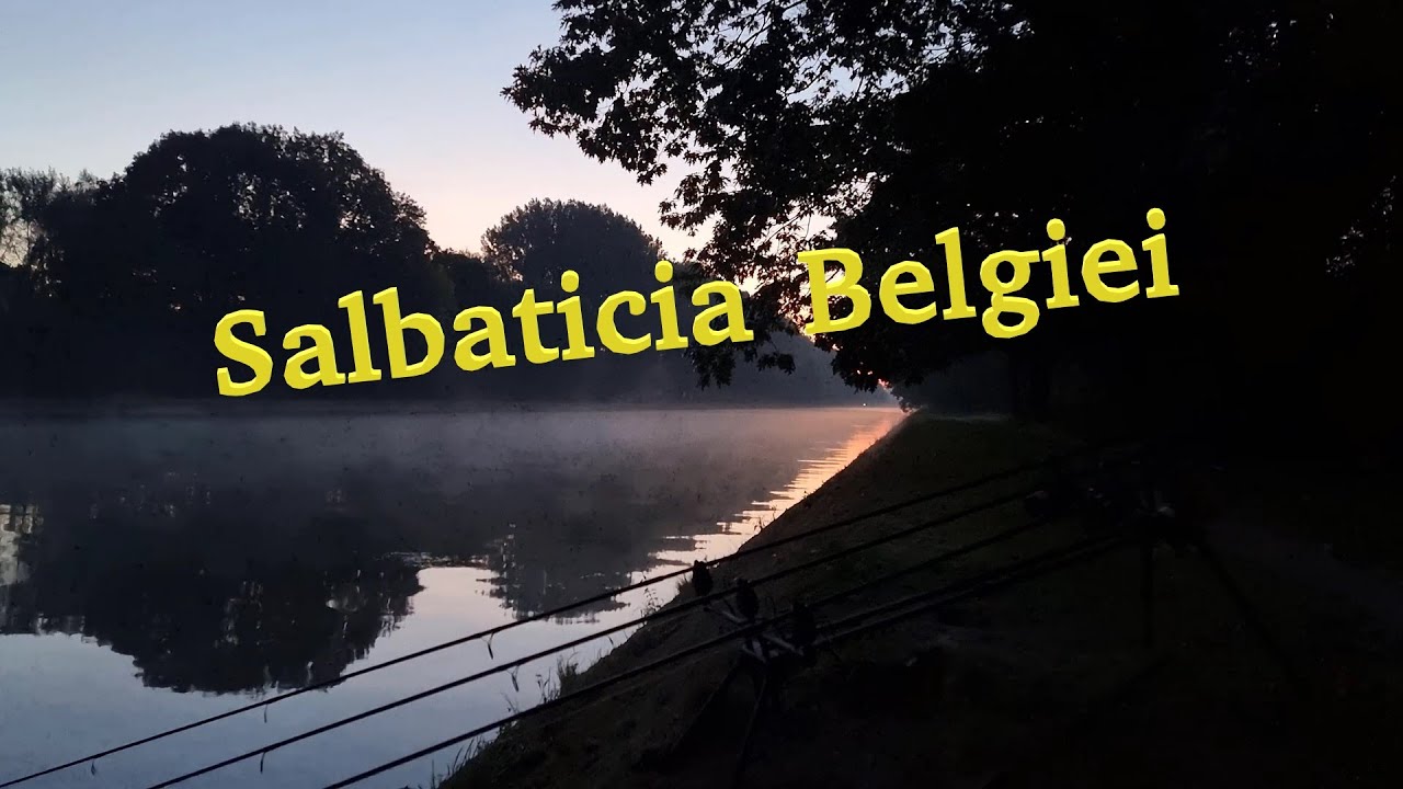 Pescuit Pe Canalele (Raurile) din Belgia - YouTube