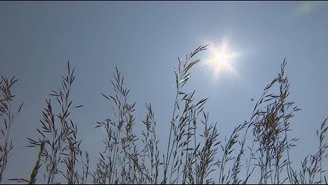 La semaine verte | Le foin de la sécheresse