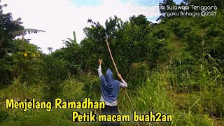 Download Lagu SEBELU RAMADHAN PANEN2 DULU‼️ MP3