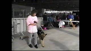AKC Canine Good Citizen CGC Test 1995-Given by Heidi Baltzly Wheeling, West Virginia