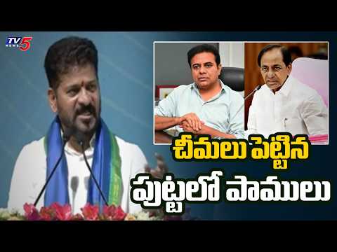 అమెరికా నుంచి దిగుమతి: CM Revanth Reddy Shocking Comments On KCR And KTR | Sircilla || TV5 News - TV5NEWS