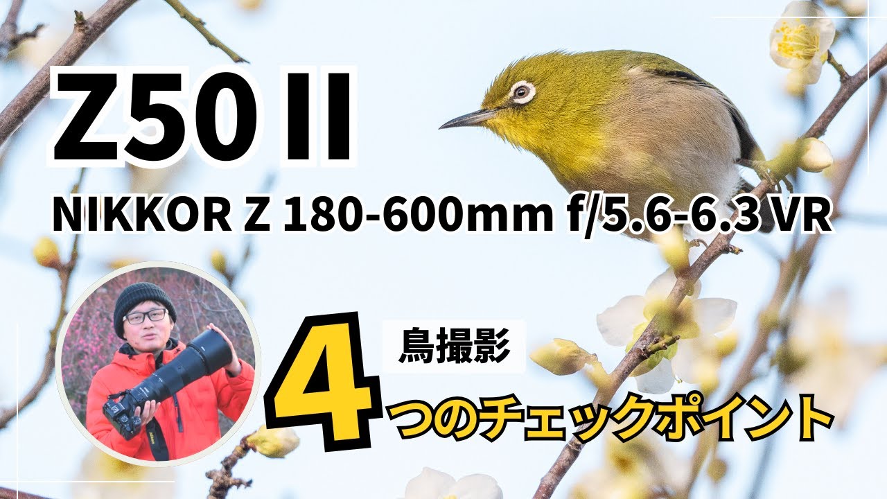 手持ち900mm】Z50II × 180-600mm でウメジローを狙ってきました - YouTube