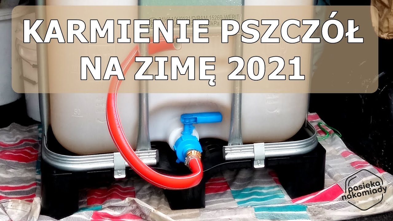 #82 Karmienie Pszczół 2021