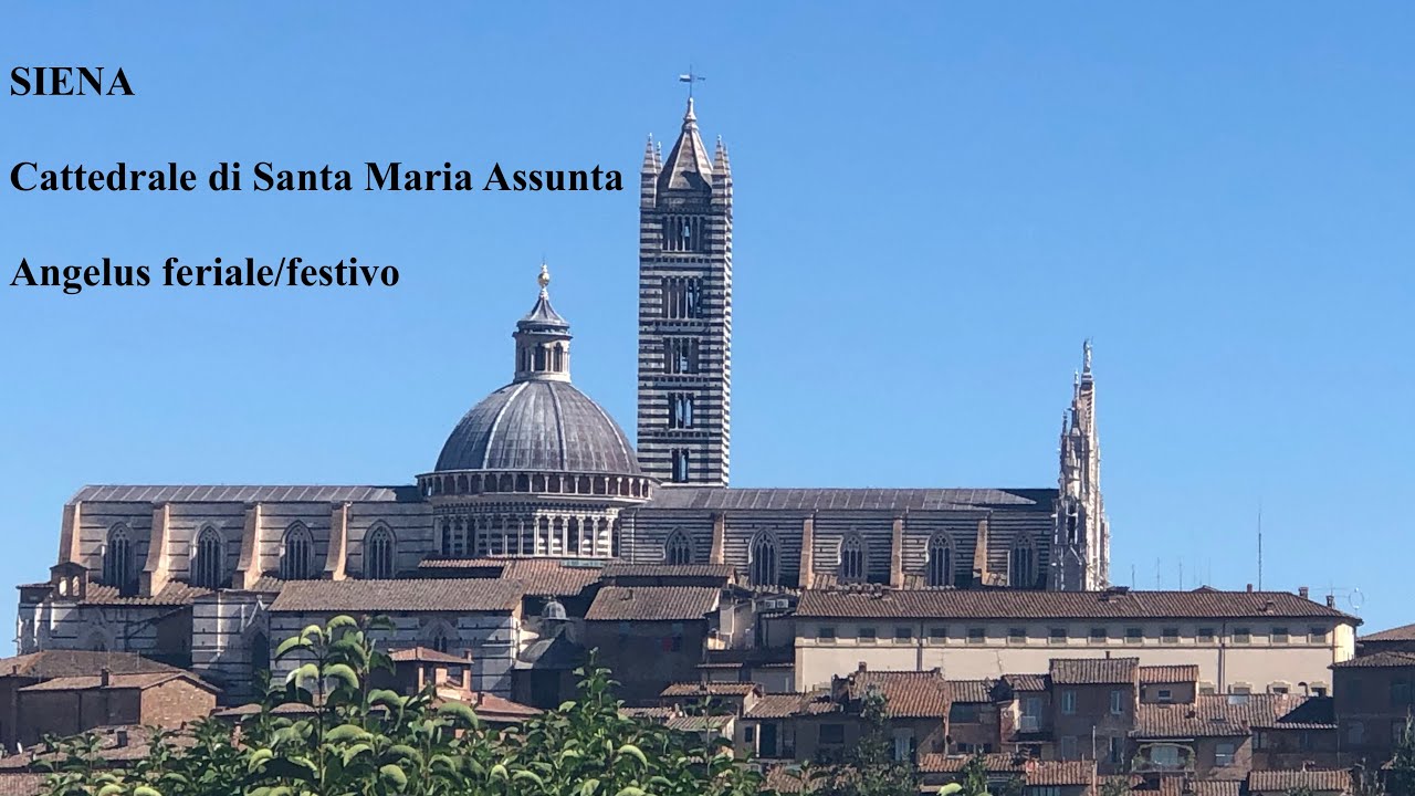 Campane della Cattedrale di Santa Maria Assunta in SIENA, v.265