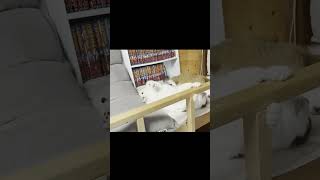 この時は、はしゃぎ過ぎました