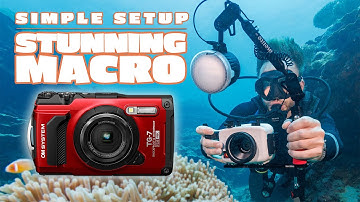 OM TG-7 Underwater Macro Setup and Review