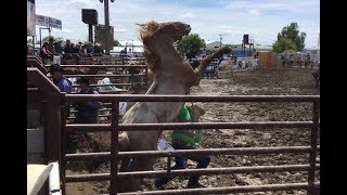 One Tough Wild Horse Race - 2018 Miles City Bucking Horse Sale - 3Rd Race