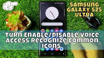 How to Turn Enable/Disable Voice Access Recognize Common Icons Samsung Galaxy S25 Ultra
