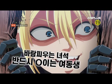 [22.4분기 신작] 피터 그릴과 현자의 시간 Super Extra PV_매주 (화) 밤 00시 방송! [Aniplus]
